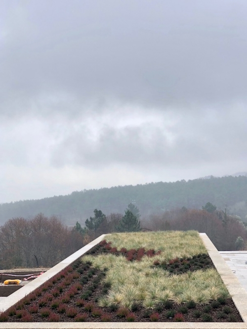 Extensive green roof