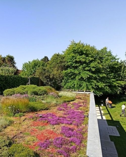 Green roof in private house