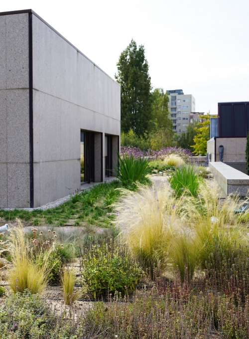 Fórum Maia Green Roof