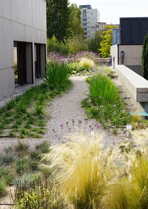 Fórum Maia Green Roof