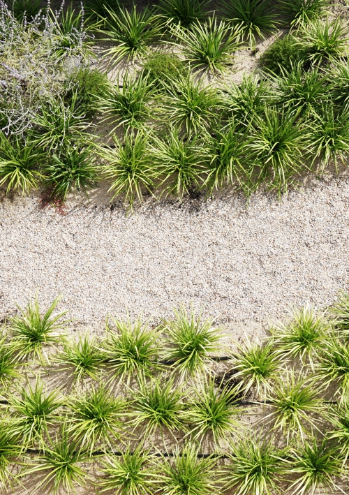 Fórum Maia Green Roof