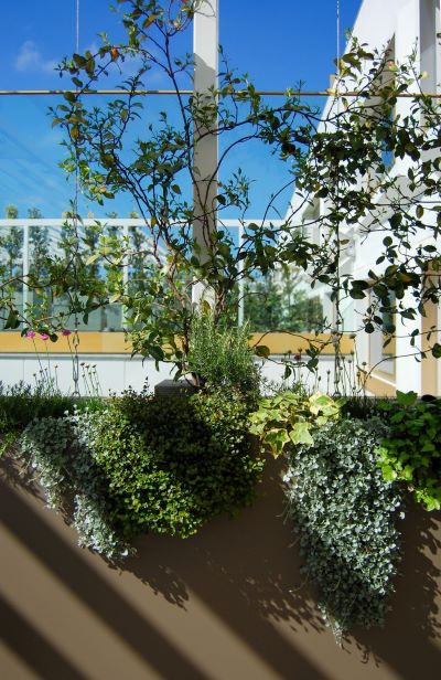 Private terrace in Porto